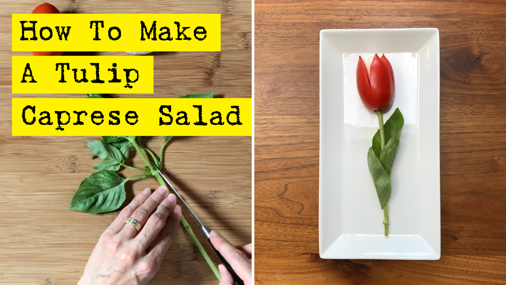 How To Make A Tulip Caprese Salad by DIY Presto!