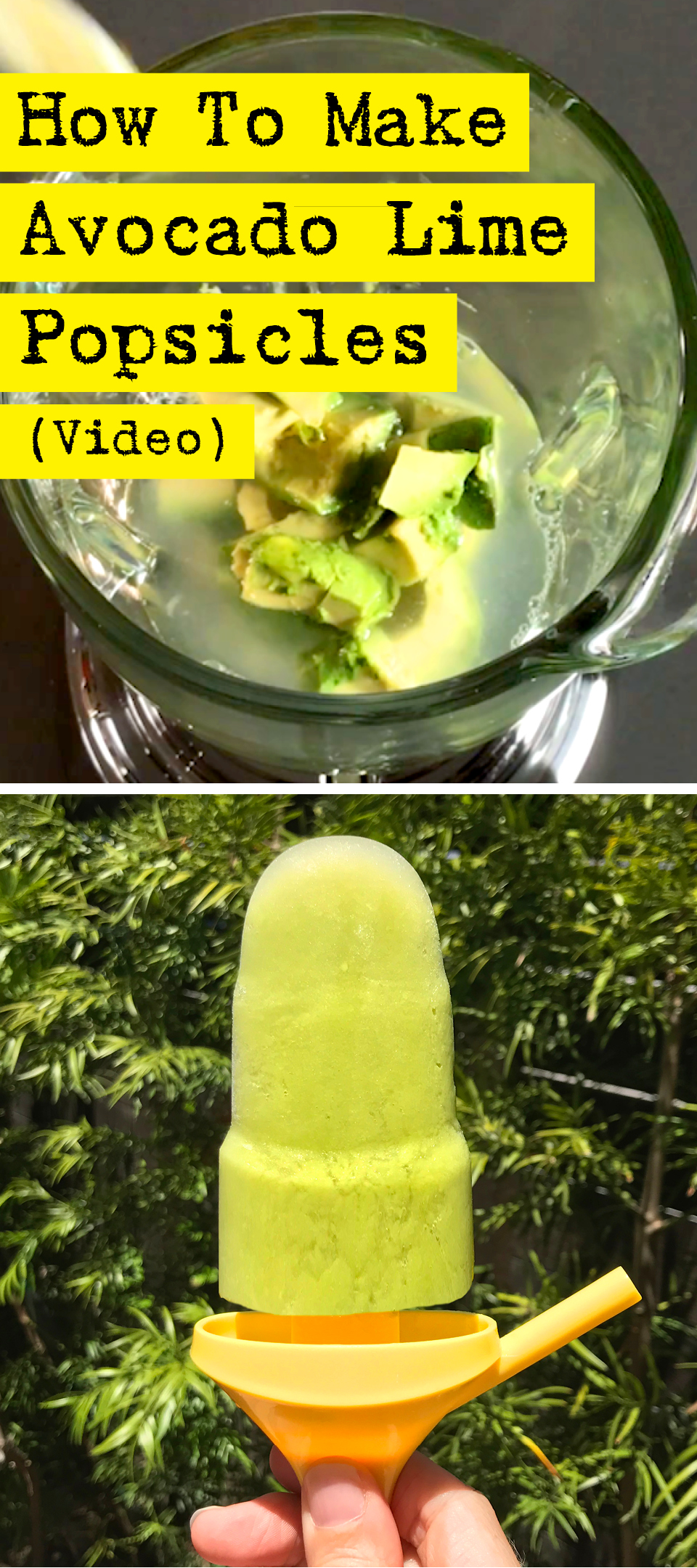 You'll love this super easy and delicious popsicle recipe: Avocado Lime Popsicles! - by DIY Presto!