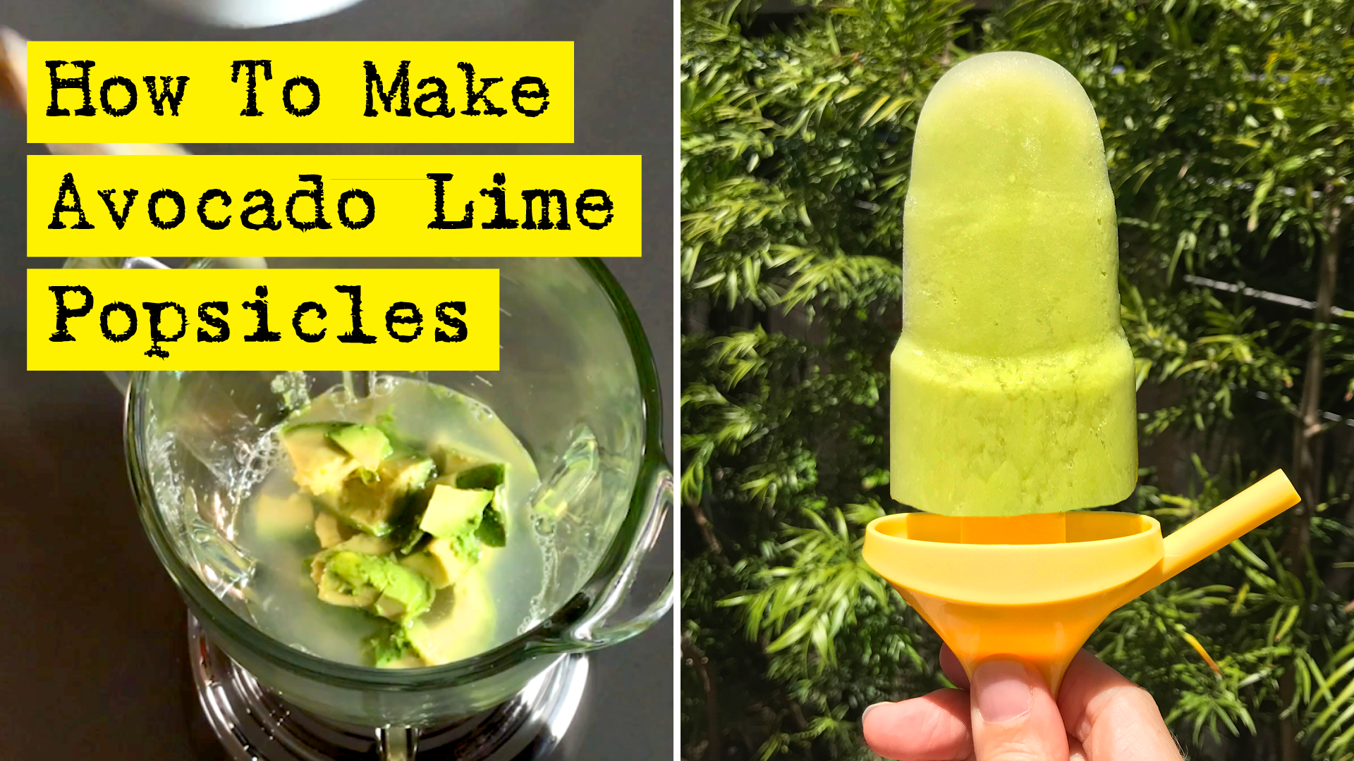 How To Make Avocado Lime Popsicles - by DIY Presto!